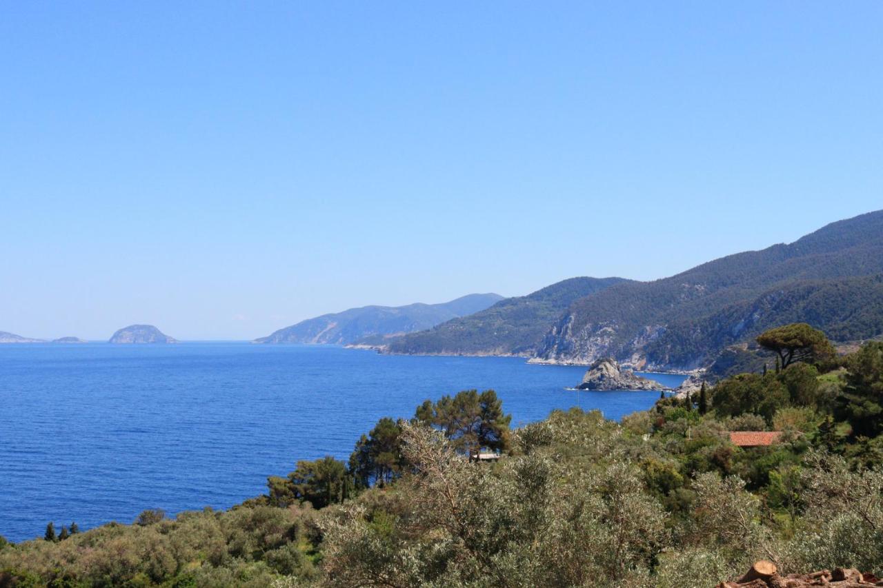 Mark Heritage Γλώσσα Εξωτερικό φωτογραφία