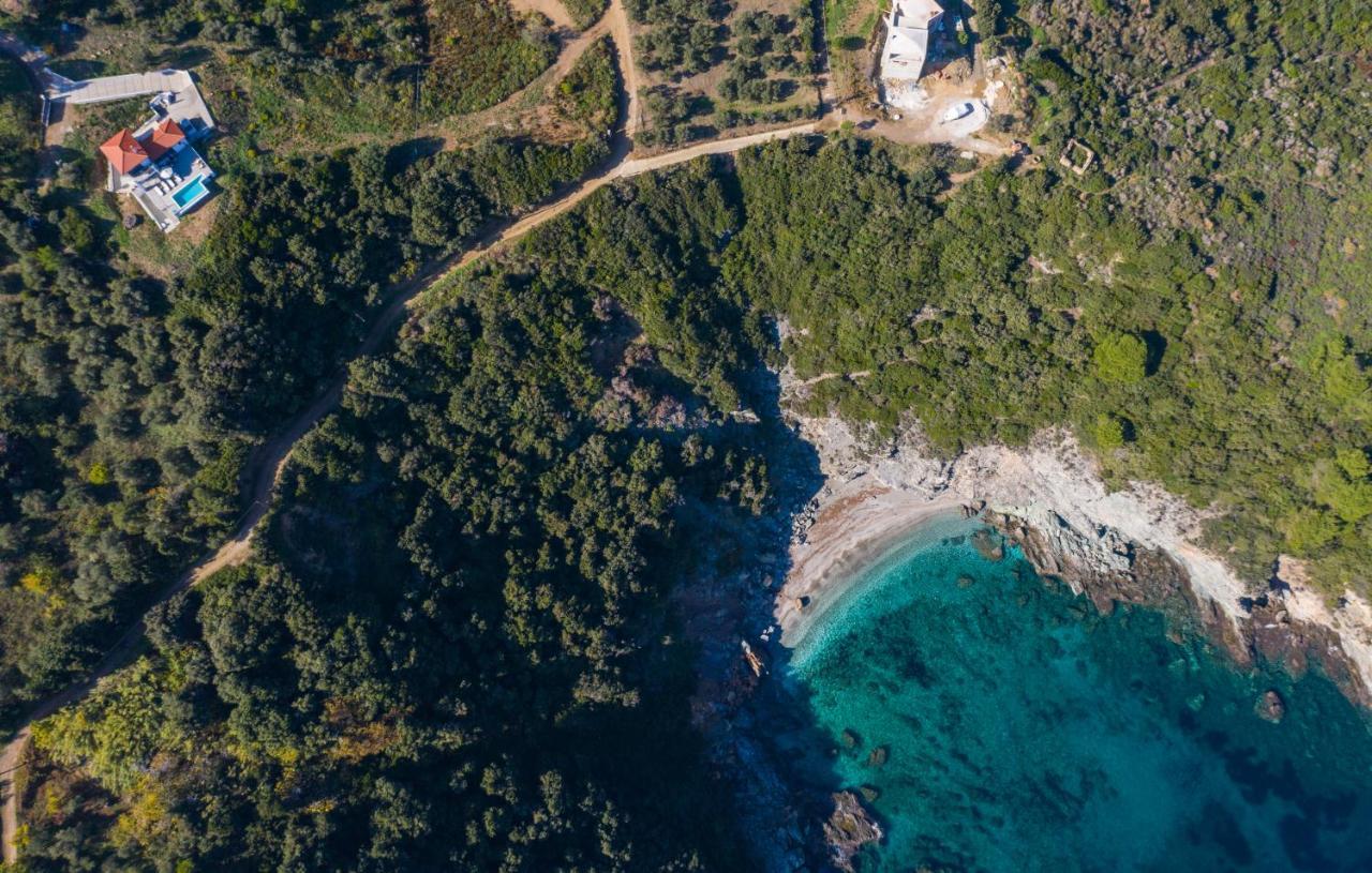 Mark Heritage Γλώσσα Εξωτερικό φωτογραφία